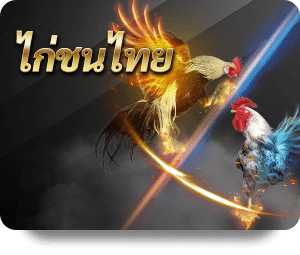 ไก่ชนไทย