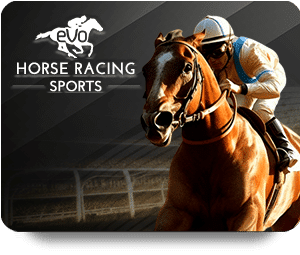 HORSE RACING SPORTS